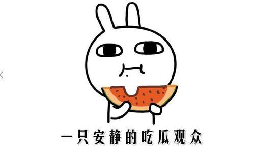 吃瓜群众在线吃瓜的意思,吃瓜群众在线“瓜田”狂欢